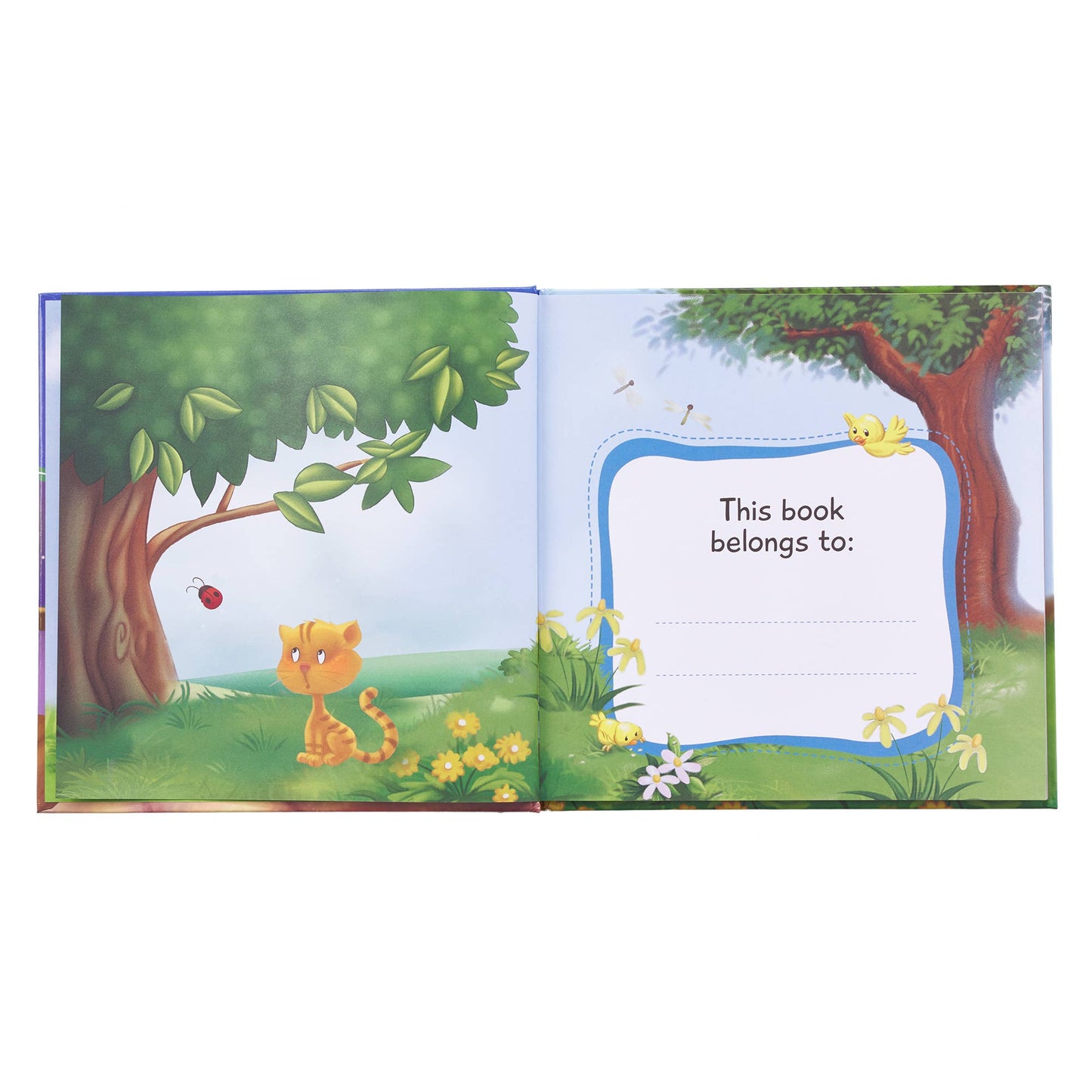 God Hears When You Pray Hardcover