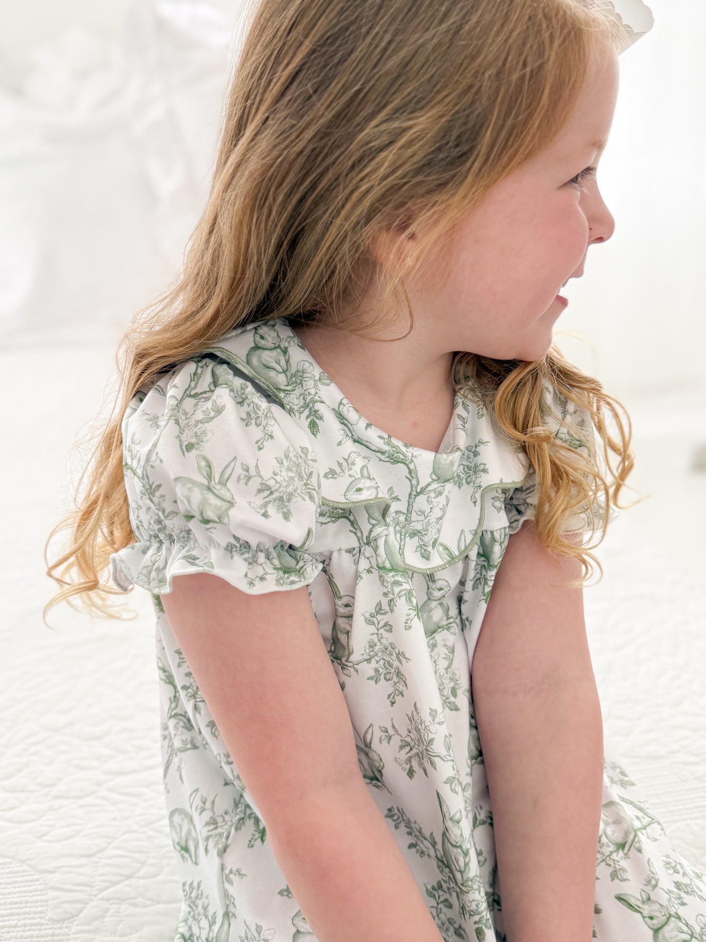 Bunny Toile Dress